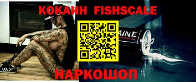 крисы Краснознаменск