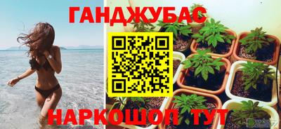 крисы Краснознаменск