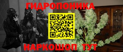 крисы Краснознаменск