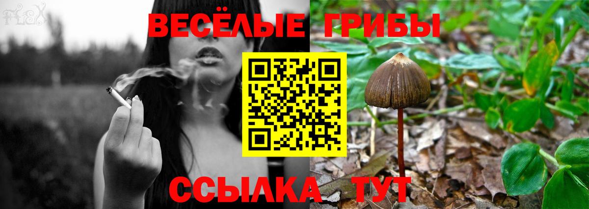 Псилоцибиновые грибы Magic Shrooms  Псилоцибиновые грибы мухоморы  Вход с VPN  Знаменск 